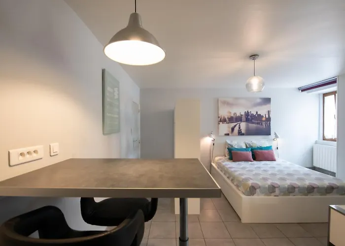 Appartement Le Cocon Des Monts D'or Saint-Germain-au-Mont-dʼOr